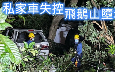 飛鵝山私家車飛墮10米山坡 4人困車廂