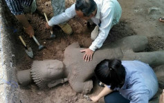 柬埔寨吴哥遗址 掘出12世纪大型雕像