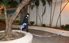 葵芳邨女子墮樓 壓中大樹跌落花槽受傷
