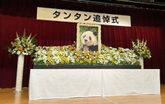 日本为旅日大熊猫「旦旦」举行追悼会  此前因心脏衰竭身亡