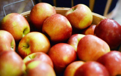 【健康Talk】腐烂苹果恐有「棒曲霉素」食安中心提醒勿进食