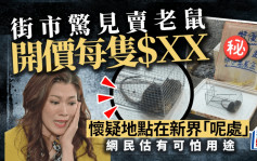 街市驚見賣老鼠開價每隻＄ＸＸ 懷疑地點在新界「呢處」網民估有可怕用途｜Juicy叮