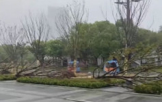 台风「贝碧嘉」｜75年来袭沪最强台风  多地逾1600航班取消苏州停送外卖︱有片