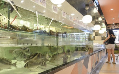 活鱼及冰鲜鱼被验出孔雀石绿 百佳：检验样本与现时售卖属不同批次