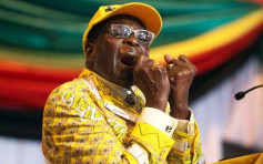 津巴布韦总统穆加贝宣布辞职  结束37年统治