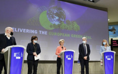 歐盟公布應對氣候變化方案 盼2050年達致碳中和