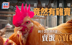 嘉道理農場竟然有雞賣 ? 園方急澄清否認 : 賣蛋唔賣雞