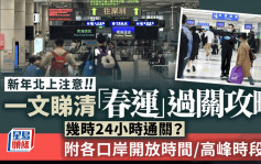 农历新年｜深圳口岸日均近80万人次出入境  一文睇清「春运」过关攻略