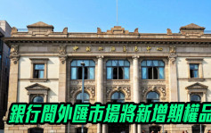 中国外汇交易中心将在银行间外汇市场新增期权品种