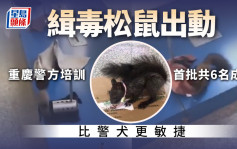 在机场见到别好奇 重庆训练全国首批「缉毒松鼠」出勤