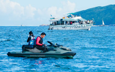 西贡鲸鱼｜渔护署指目前未有需要作主动救助行动  禁船区建议并不可行