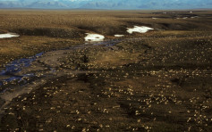 推翻特朗普批准鑽探決定 拜登政府暫停北極保護區開採