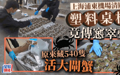 上海540隻大閘蟹「潛逃」出境 關員揭發原因係.....