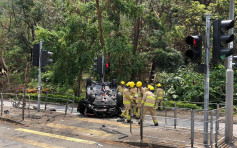 大埔公路私家车疑避狗失事翻侧 女司机送院治理