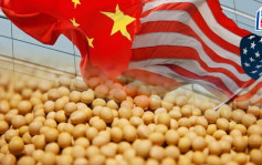 中國採購逾300萬公噸美國黃豆 彭博：拜習會前釋出善意