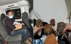 警捣元朗濒危动物养殖场拘2人 检娃娃鱼孔雀猫头鹰