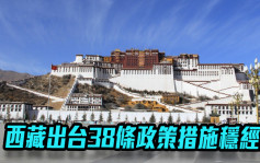 西藏出台38条政策措施稳经济 将发放1亿人币消费券