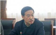 中国最高检依法决定对刘善桥立案侦查