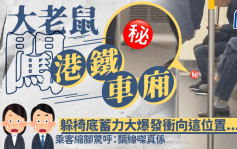 老鼠闖港鐵車廂躲椅底蓄力大暴走 衝向這位置...... 乘客嚇壞急縮腳｜Juicy叮