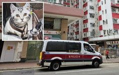 坚尼地城家猫失踪 女主人疑邻居所为报警求助