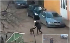 羅馬尼亞22歲女遭2惡狗包圍 壯漢護花慘遭咬傷睪丸