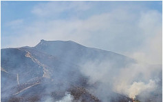 重陽節新界多處山火 消防半日接數十宗求助