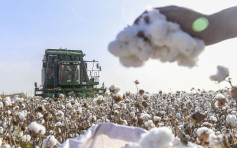 首批「中国可持续棉花」进入认证阶段 料很快进入消费市场