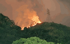 屯门九迳山山火一度重燃现两火龙 消防灌救8小时扑熄
