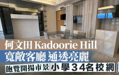 何文田 Kadoorie Hill 宽敞客厅通透亮丽