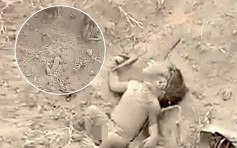 地上现「小短腿」 印度村民挖出一名被活埋男婴