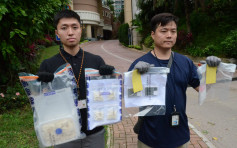 警搜荃湾朗逸峯检127万元毒品 拘捕1对夫妇