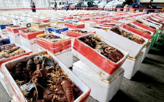 海关检逾220吨走私澳洲龙虾值1.8亿元 拘7名主脑