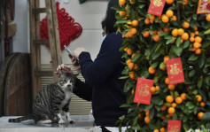 本港各区正午较昨日低2至3℃ 明日气温降至最低11℃