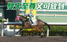 仲達投注全攻略│「雙天至尊」四班有利