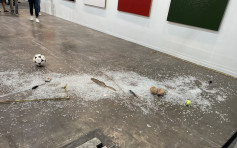 弄碎墨西哥美术馆展品 艺术评论家公开道歉