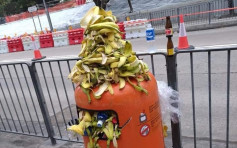 维港会：街马后垃圾桶爆满 蕉皮堆积如山