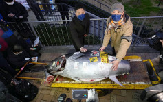 东京丰洲市场新年首拍 逾213万蓝鳍吞拿鱼创疫情以来新高价