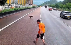 有片│元朗短衫男風雨下救狗 網民：香港司機好有愛心