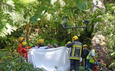 葡萄牙200年古樹倒塌 壓死13人50多人受傷