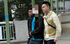 蓄意破壞郵政車側鏡 麗瑤邨64歲男被捕