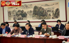 兩會2025︱AI換臉冒聲湧現  靳東斥非常惡劣盼更好規管