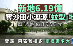 新地6.19億奪沙田小瀝源「蚊型」地 每呎地價3952元 雷霆看好同區換樓需求大