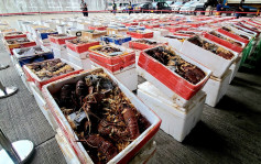 贵价海鲜有价有市 澳洲鲍鱼料成抢手货