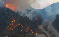 南韩东南部山火向北蔓延 首发全国最高级别火险预警