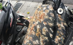 【天降橫禍】鳥糞轟炸路邊電單車成「迷彩車墊」 網民：集體腸胃炎