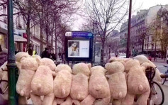 【法國大罷工】工會號召周二再大遊行 「熊熊」趣現巴黎街頭