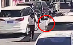 【有片】上海6岁女街道玩滑板车 母目睹爱女遭车辗毙
