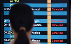 【帕卡襲港】截至1時62傷236塌樹 300航班取消延誤