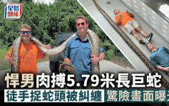 佛州历来最长蟒蛇被捉 2层楼咁长！佛州男「肉搏」巨蟒惊险画面曝光
