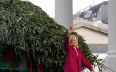 白宮今年花13.9萬美元作聖誕布置 遭網民批評浪費金錢